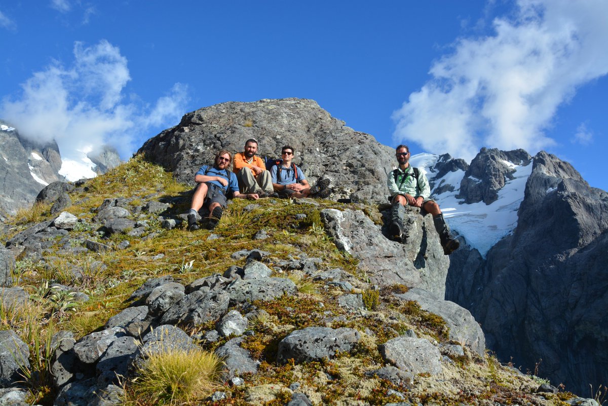 Levan Tielidze tweet media