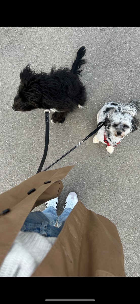 Alex Gaboury tweet media