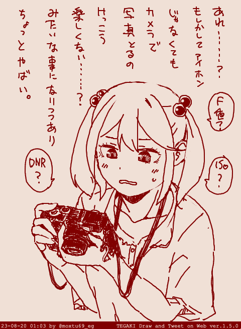 カメラ全然わからない が 楽しいかもしれん #tegaki_dt 