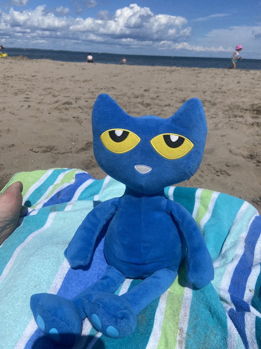 MsVsLibrary's tweet photo. Beach day for Pete the @SouthMarchPS Library Cat!! https://t.co/Sjut0hAAfQ