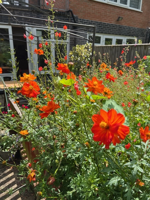 didsburypensioner tweet media