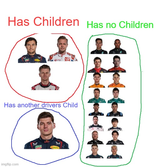 F1 TROLL tweet media