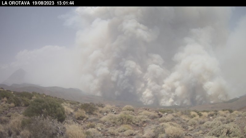 Imanolzuaznabar's tweet photo. Las imágenes de las webcams de Izaña ahora mismo son terribles. El incendio ahora mismo en cara Norte es una monstruosidad 🤦🏻
#IFArafoCandelaria https://t.co/GowpPRglAW