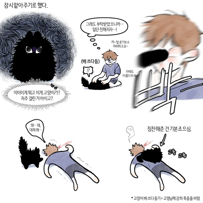 사이좃은 캣독 종상 