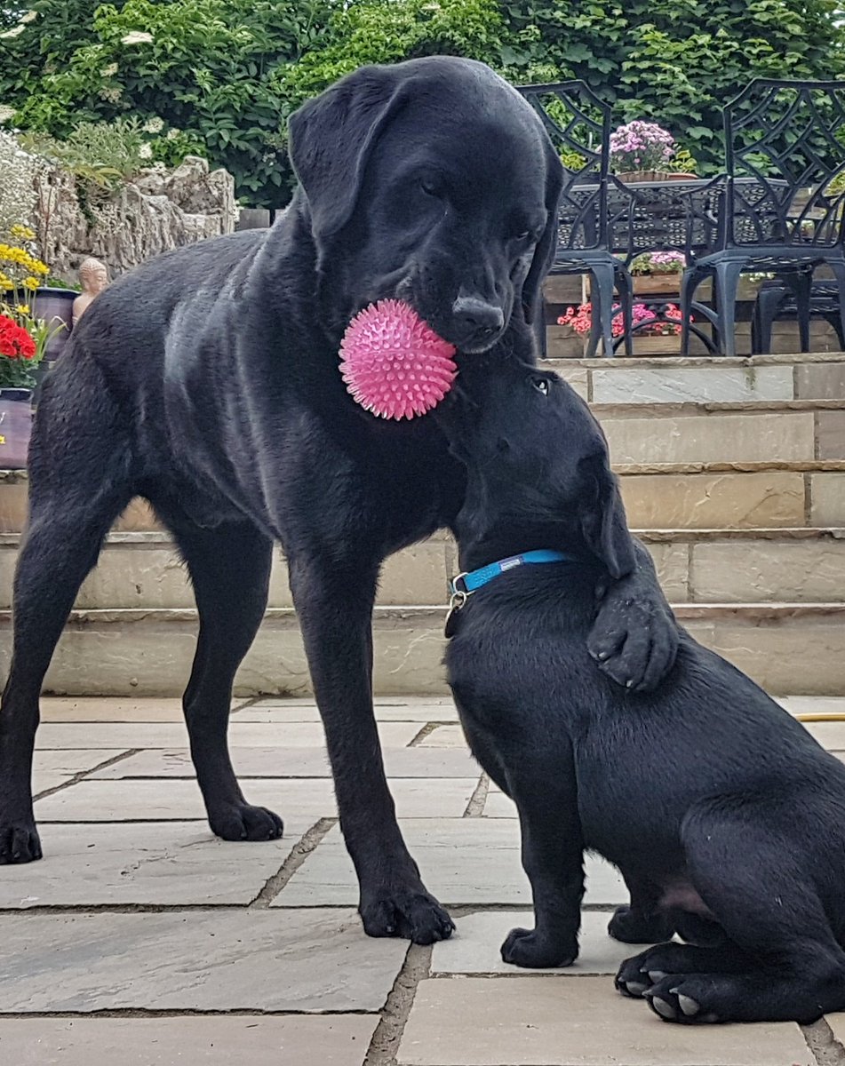 (Not) Posh Dave tweet media