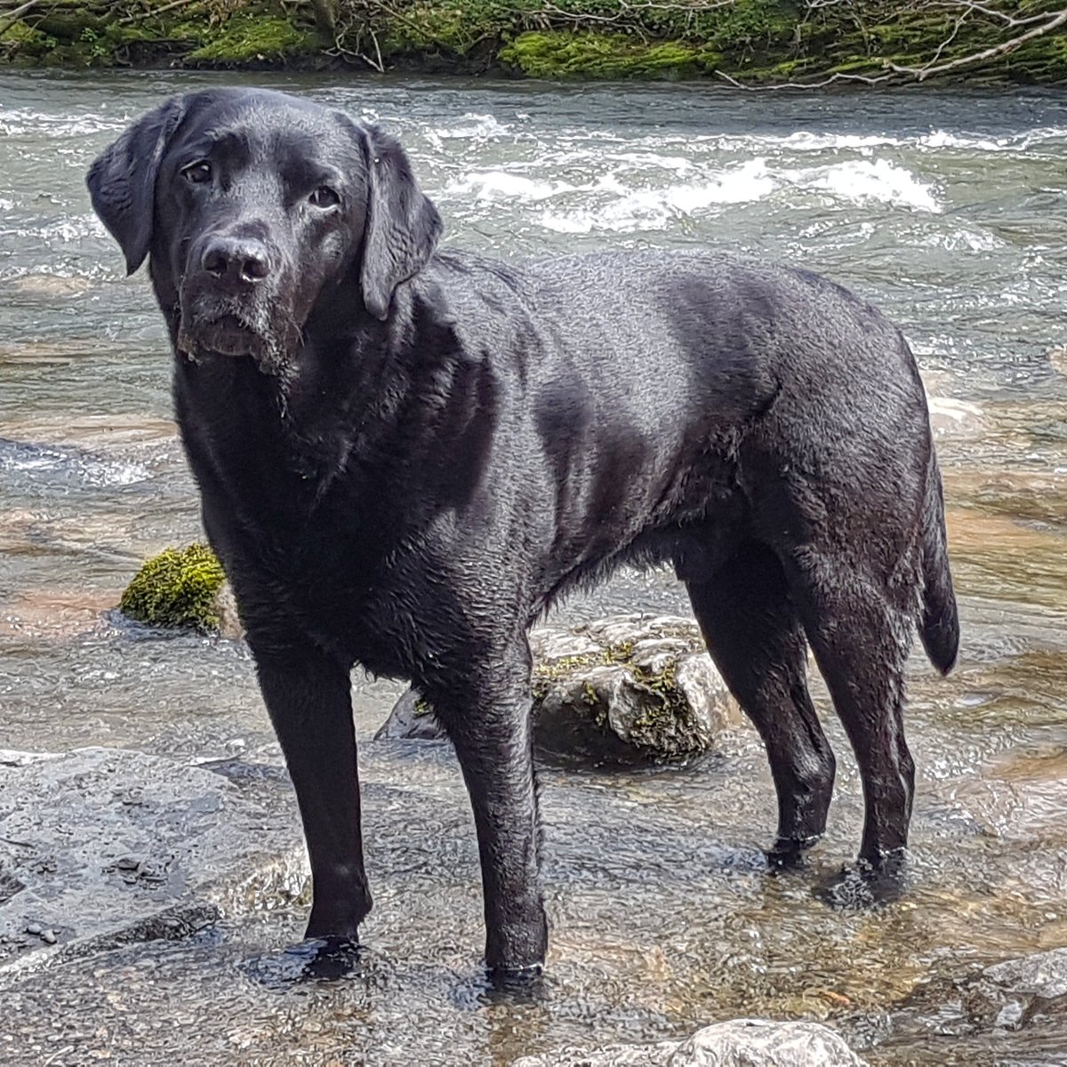 (Not) Posh Dave tweet media