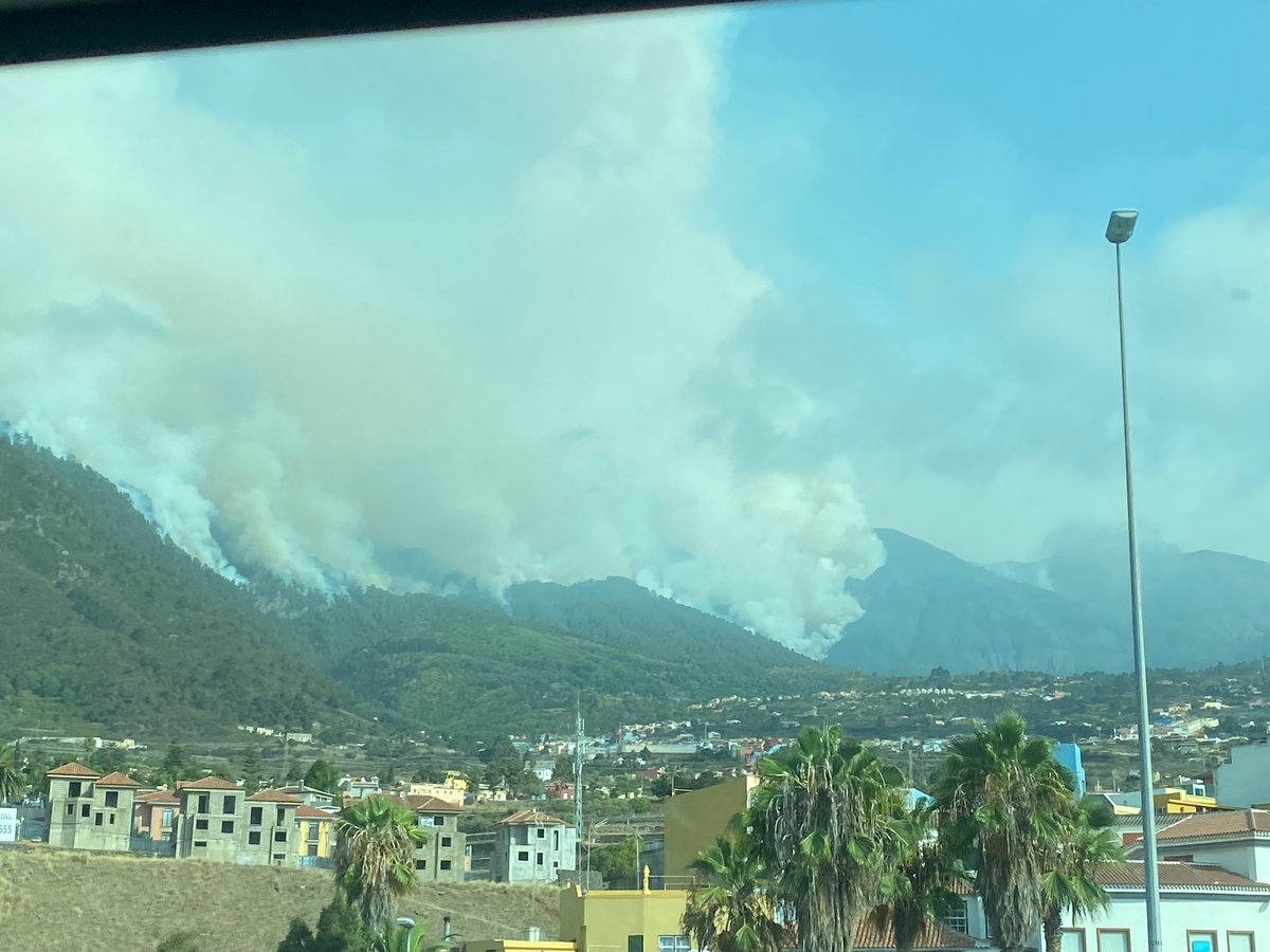 Ana Esther JM tweet media