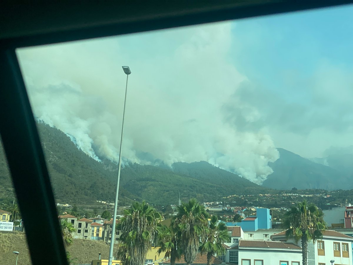 Ana Esther JM tweet media