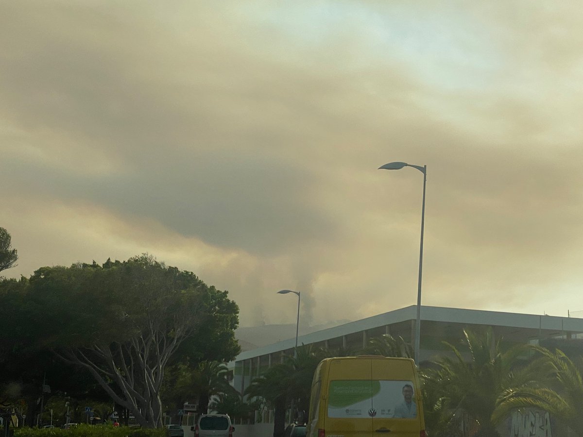 Ana Esther JM tweet media