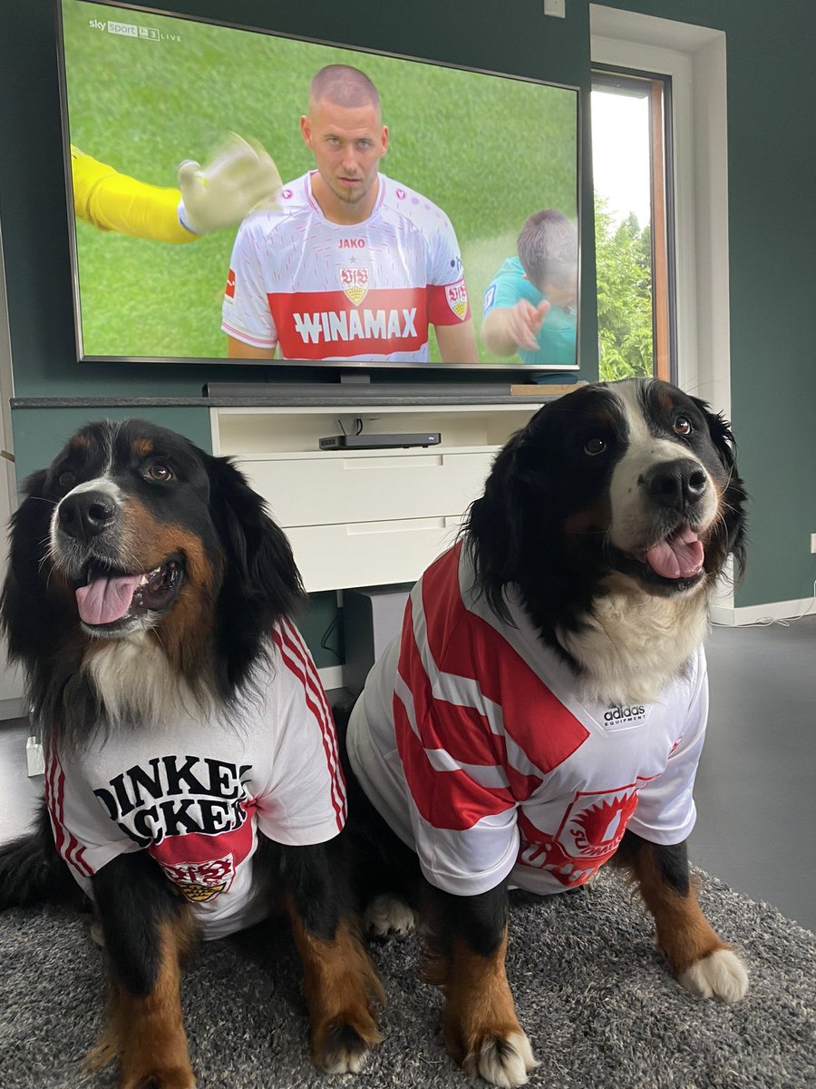 Zillertal_de's tweet photo. Auf gehts VfB !!!! #VfBBOC #VfB https://t.co/vQ27JLA0dn