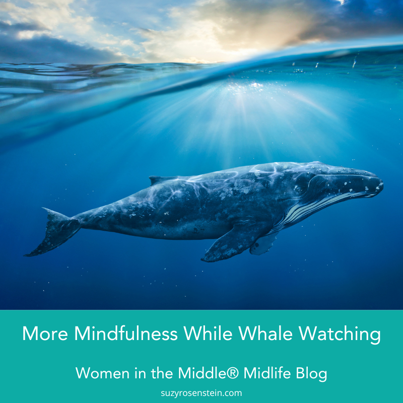 Women in the Middle® tweet media