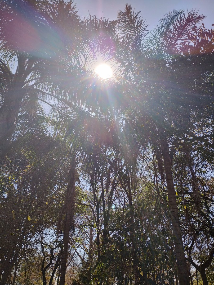 andreaj0103's tweet image. &quot;Andábamos sin buscarnos pero sabiendo que andábamos para encontrarnos”.  
   - Julio Cortázar
#Amor #BonDia