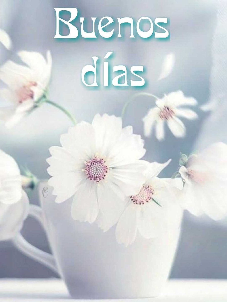 LorenzaDC's tweet photo. Buenos días https://t.co/HZBrOne47Q