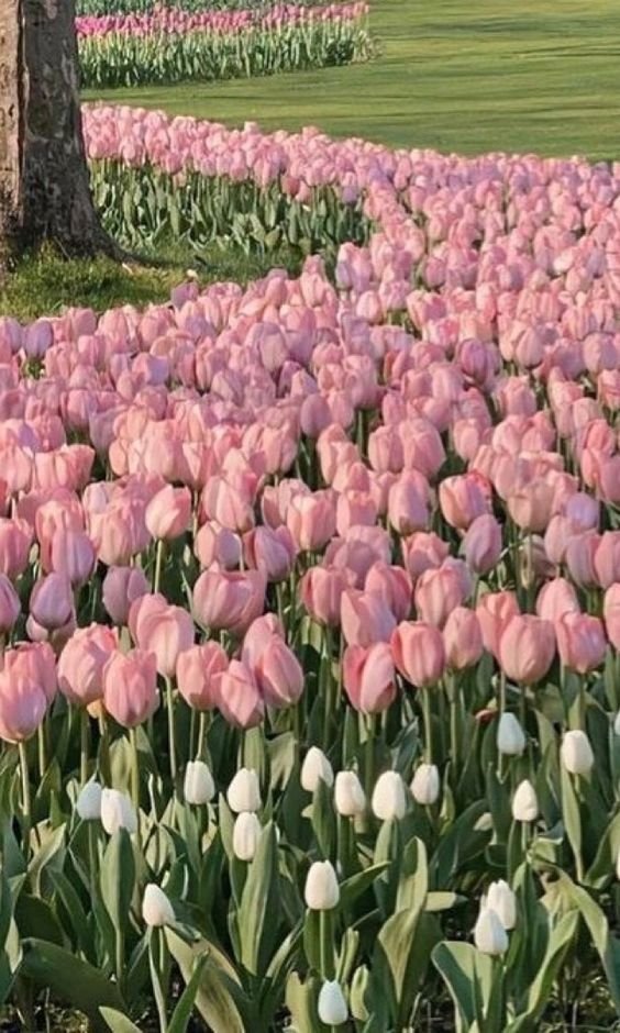 La vie est belle (@lavieestbelie) on Twitter photo 