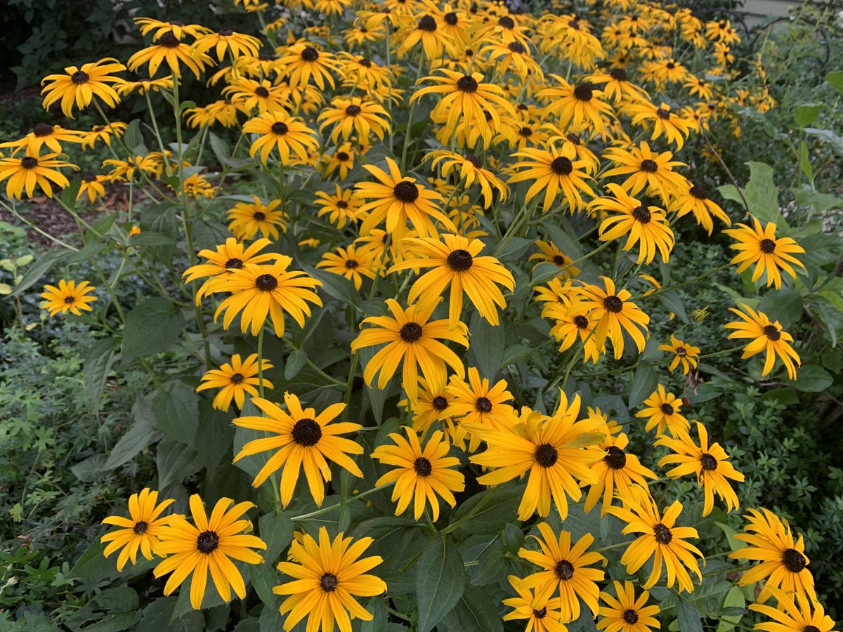 reachjulieroys's tweet image. Struck by the beauty of God’s creation this morning. He didn’t have to make the world beautiful. He could have made it merely utilitarian. But He didn’t. He made it beautiful. He made it something we would enjoy. He is good.