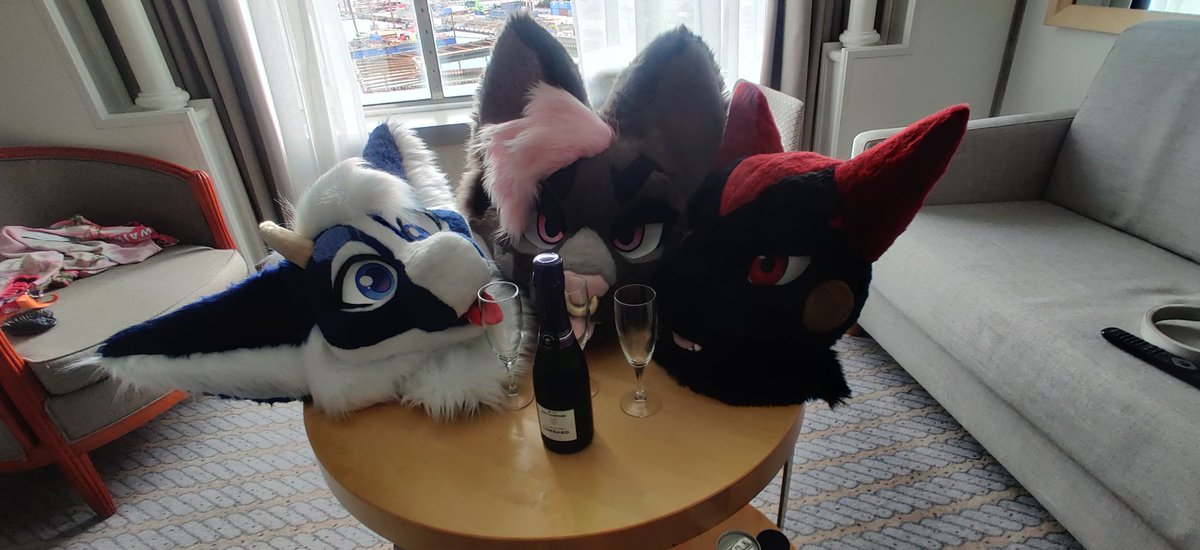 thatfellowApo's tweet photo. Second day starts now 🥂

@Petokikka @afraidxmonsters

#furfloat #furry https://t.co/q7cgkIw9Zs