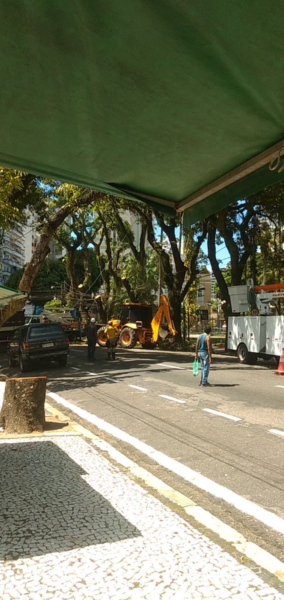 Evitem a Presidente Vargas. <a href="/prefeiturabelem/">Prefs de Belém</a> tá fazendo poda nas mangueiras, no perímetro do semáforo em frente ao Manoel Pinto