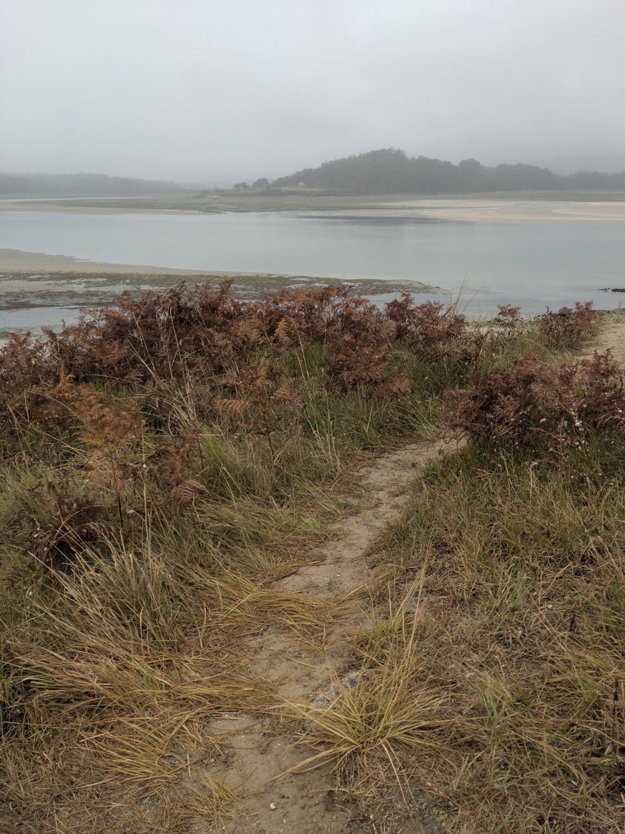 Copelius666's tweet photo. Small Paths
#photography #landscape #sancosme #barreiros #galicia #copelius https://t.co/Ap1yitPLig