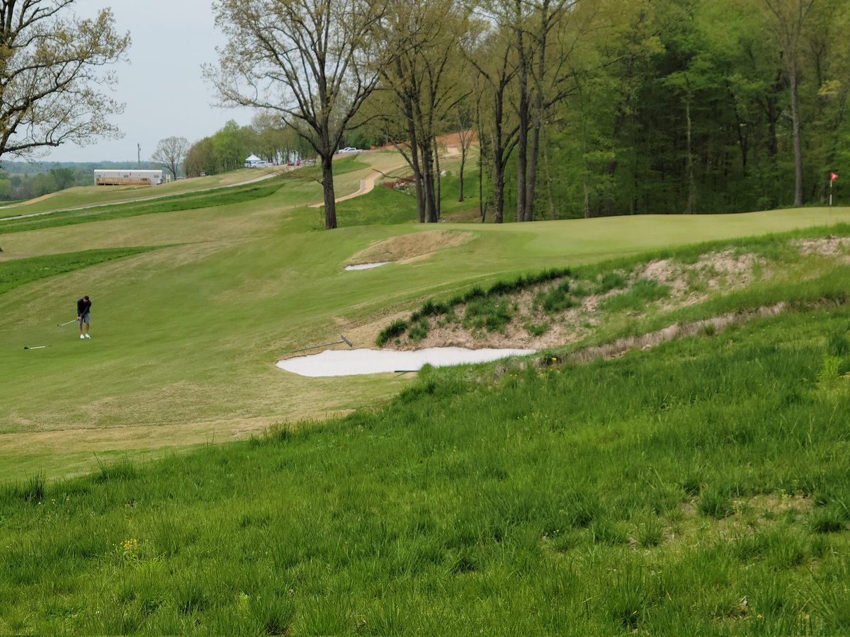 One Bearded Golfer tweet media