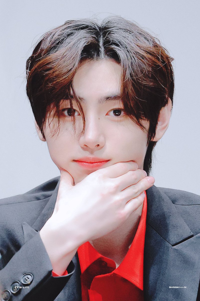 사브레 tweet media