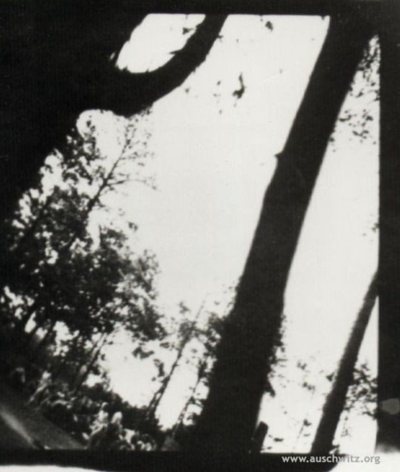 AuschwitzMuseum's tweet photo. #WorldPhotographyDay One of the most important visual evidence of the mass murder at #Auschwitz. Women undressing next to gas chamber and crematorium V &amp; burning corpses in open air pits behind the building. Photos were taken in secrecy by Jewish prisoners of the #Sonderkommando. https://t.co/YCAOluEeCL