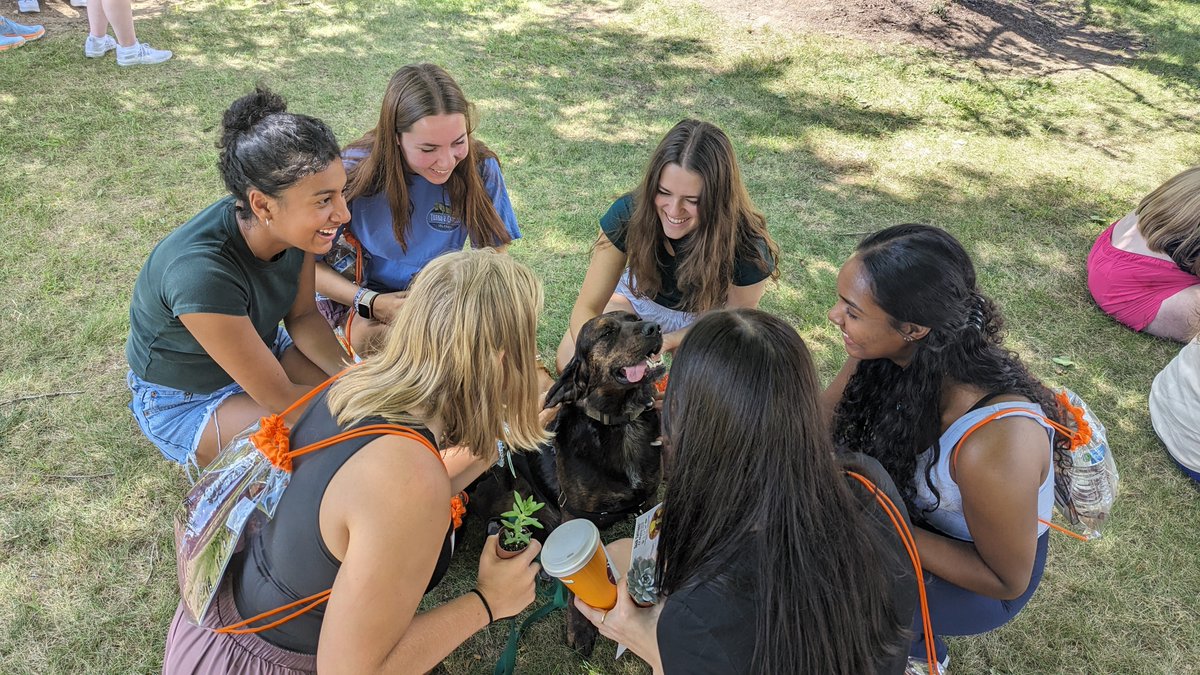 VTCals's tweet photo. Welcome, #VT27! We are so happy to have our newest #Hokies on campus. We celebrated yesterday with the VT Therapy dogs, delicious popsicles, succulents, free shirts, bug candy (yep, real bugs), and lots more! ❤️🧡 #iamVTCALS https://t.co/wsx3C4bhnu