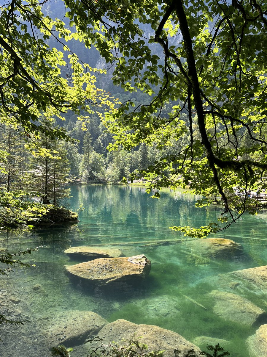 Blausee1878's tweet photo. Wir wünschen Euch ein schönes Wochenende !💙😍 https://t.co/rcLhlYJmP2