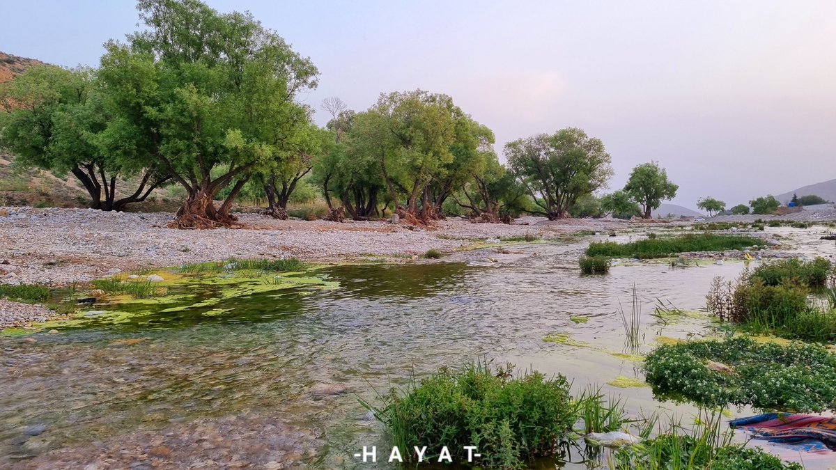 ہنہ، کوئٹہ

#19aug2023 #mhayatkakar #ہنہ #Quetta #Balochistan #Pakistan #naturephotography #mountainview