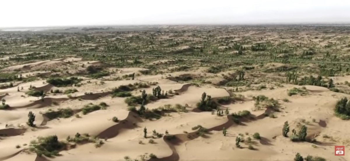 ليس هناك مايمنع من زراعة الصحراء بالاشجار المناسبه اذا توفرت الاراده الامكانيات موجوده. وهناك دول نجحت في زراعة الصحراء . اذا اعدنا تاهيل الصحراء سيتتغير اجواءنا للاحسن باذن الله. وهناك الاف المتطوعين الجاهزين للتعاون.