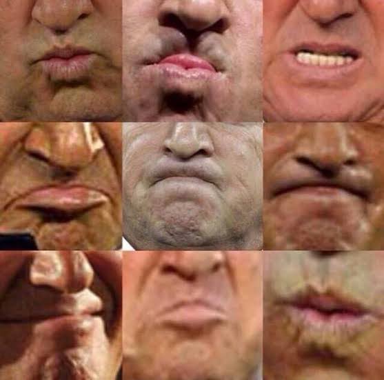 Bugün hangi Fatih Terim dudağısın? #anket