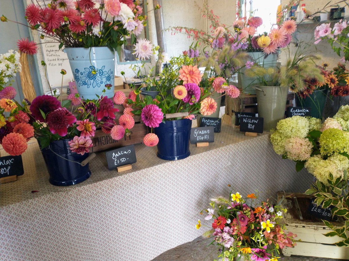 Popped into <a href="/GandGorgeous/">Green and Gorgeous</a> today.Beautiful flowers and location but I came back with a fab cucumber!