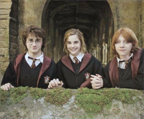 hermionethinker's tweet photo. yeah, i'm religious, i believe in the holy trinity https://t.co/xT7sBxXDAG