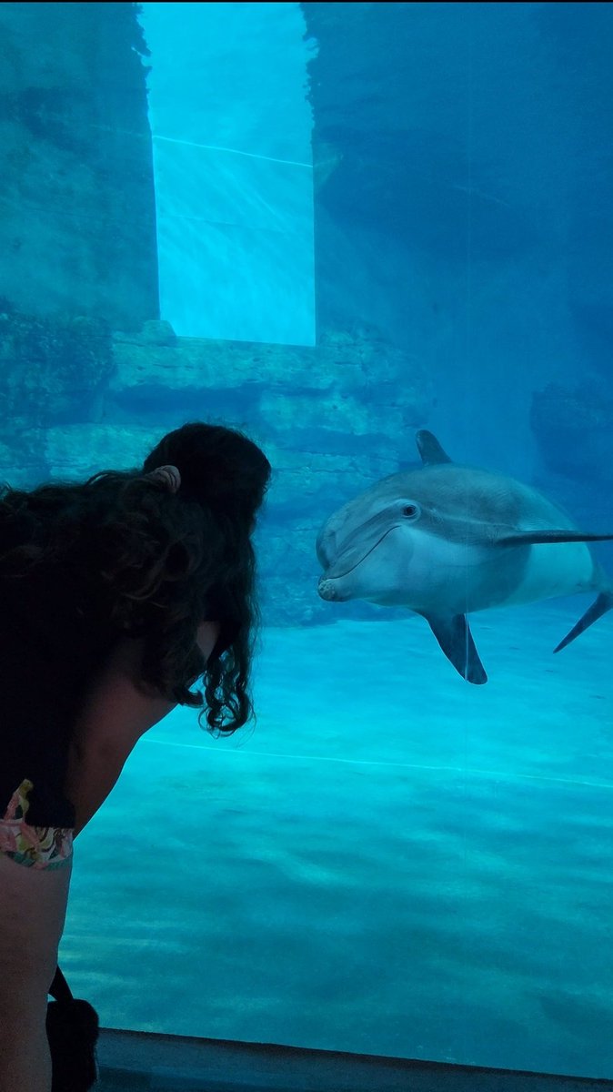 chaoscxt's tweet photo. @CMAquarium From last night! We love Nick! https://t.co/xSkm1W6X47