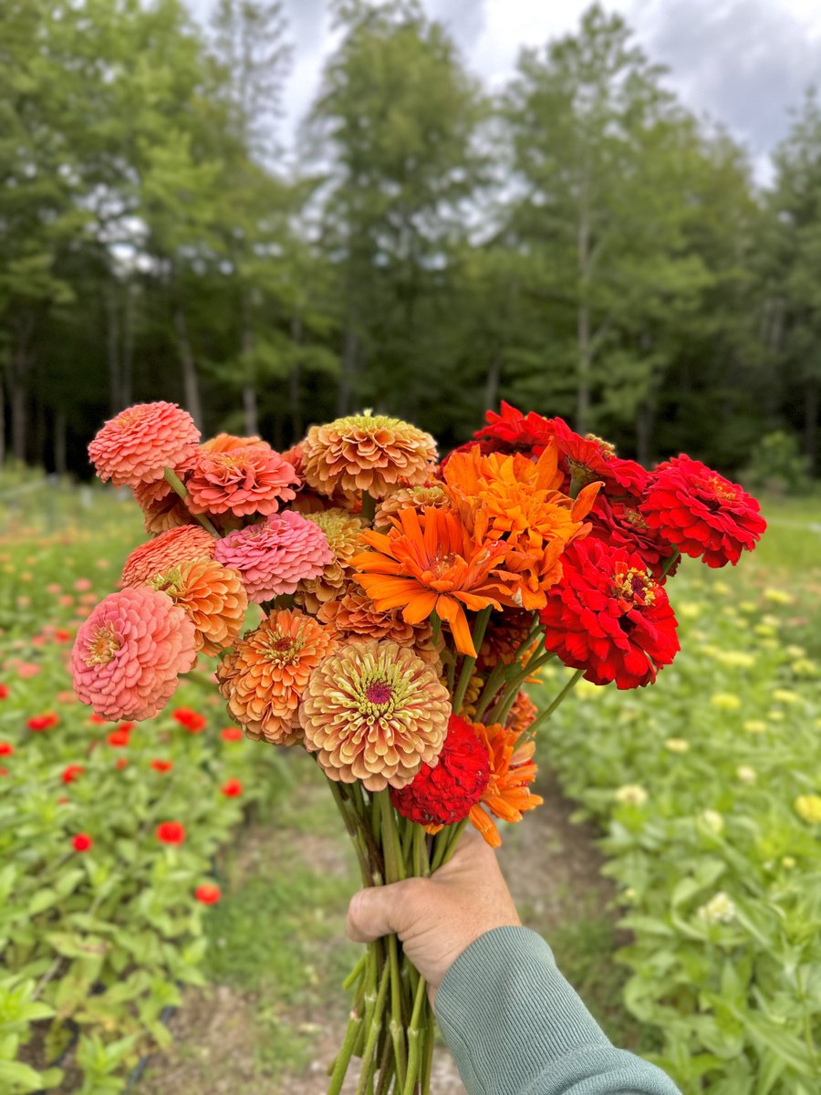 A summer handful of fun!