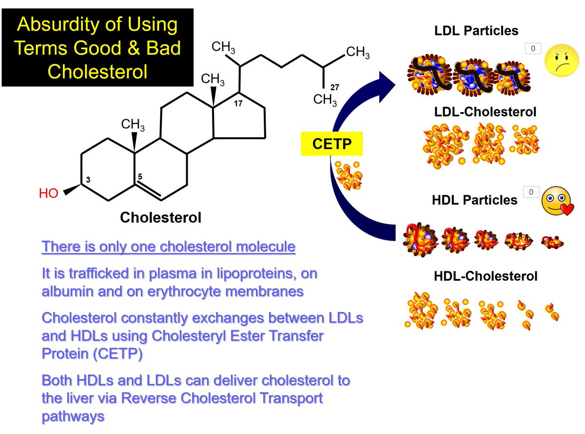 Thomas Dayspring tweet media