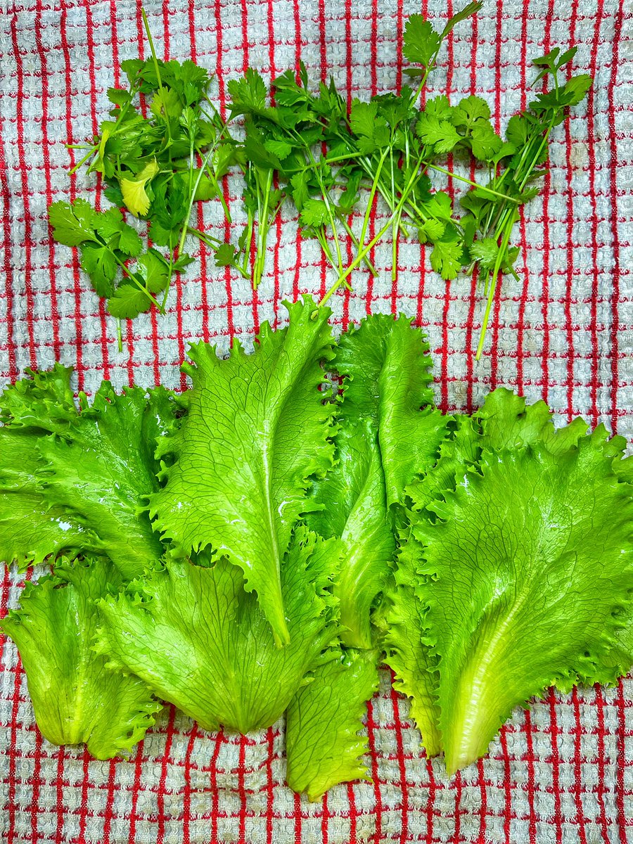 … #SaturdayLunch: Steak & Salad 🤌🏼😁 … 
#SimpleMeal #GardenToPlate #WhenJoanCooks