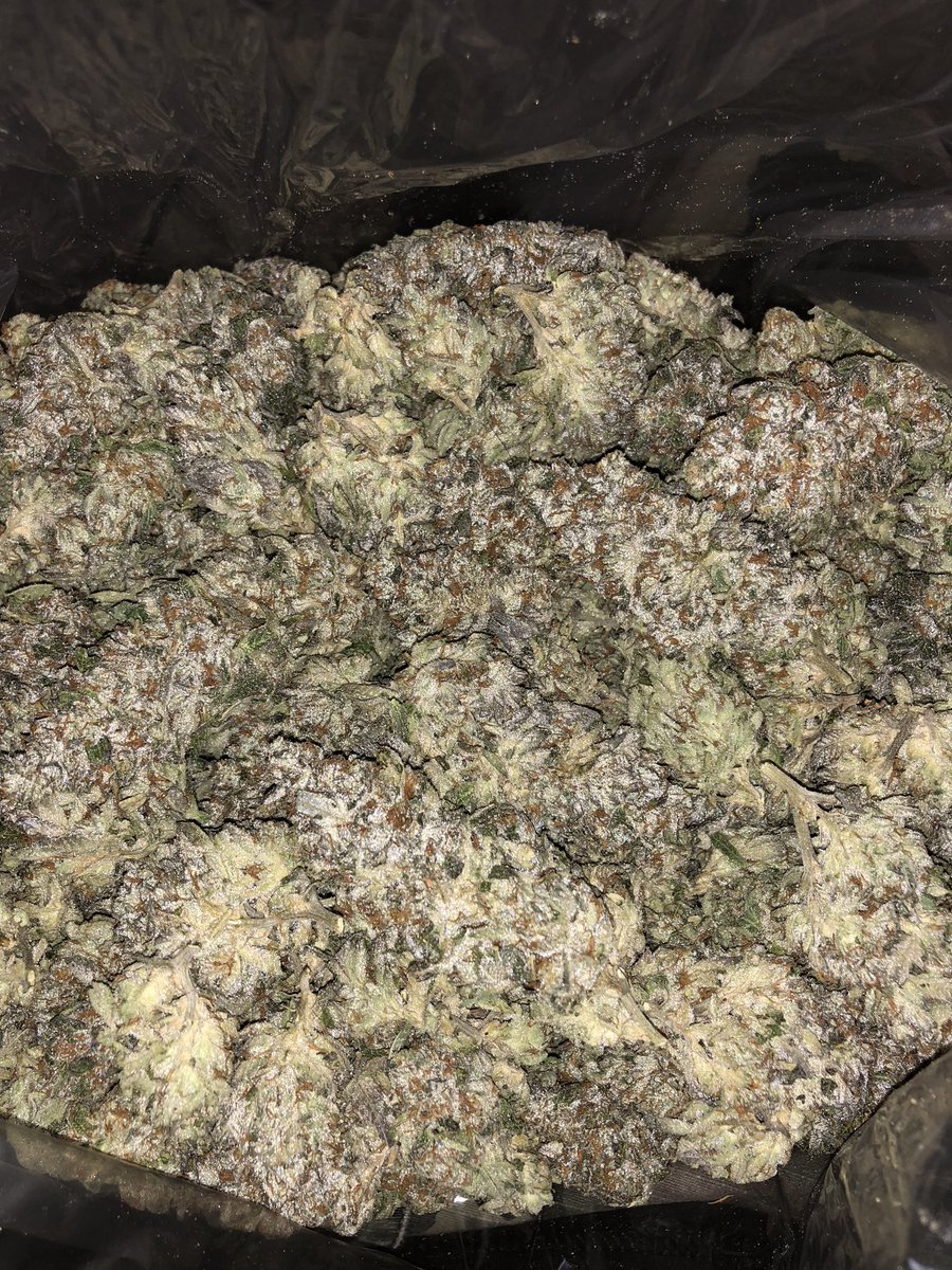 CannabisSerge's tweet photo. 92’ OG https://t.co/aHrlTQdQfT