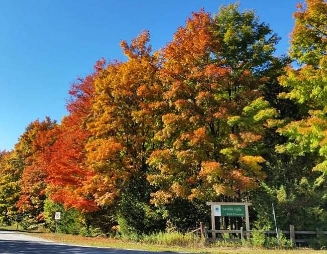 Come enjoy fall camping at Sauble Falls! We are open this season until October 29th🍂🏕️ 

Make your online reservation here: reservations.ontarioparks.com