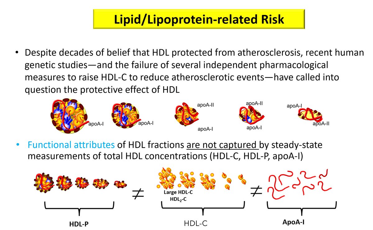 Anyone using the terms good vs bad cholesterol or ratios thereof is a fraud who is nowhere close to being up to date on understanding lipid and lipoprotein metrics. There is not a single guideline or position statement anywhere that suggests raising HDL-C or correcting some ratio