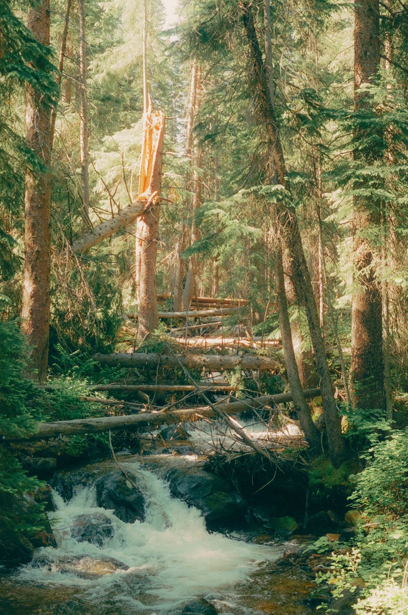 AlexKittoe's tweet photo. Colorado greens on film 🎞 https://t.co/qQdJTA1wUy