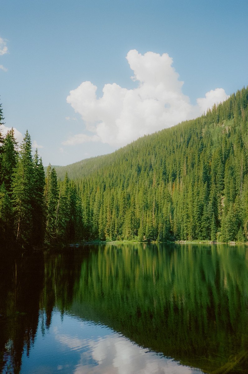 AlexKittoe's tweet photo. Colorado greens on film 🎞 https://t.co/qQdJTA1wUy