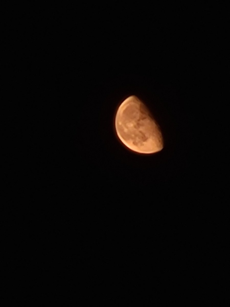 seromutlujet's tweet image. #samsung #s20fe #Moon