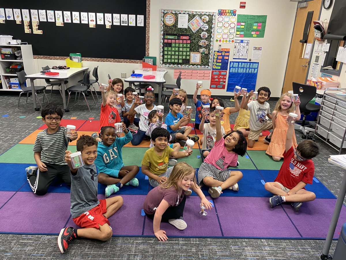 frazierskinders's tweet image. They earned their desk pets!