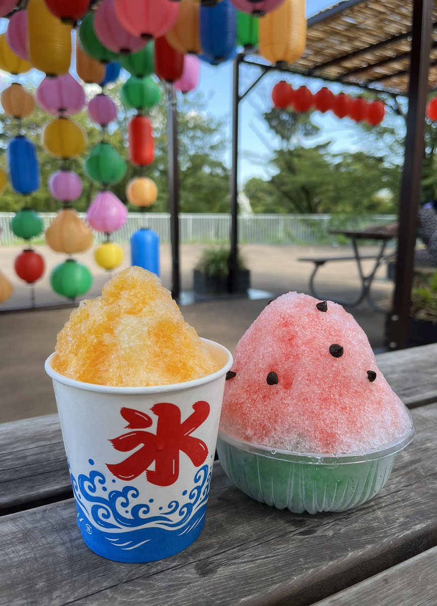 久しぶりに遊園地に行ってきました🎡暑かった〜！