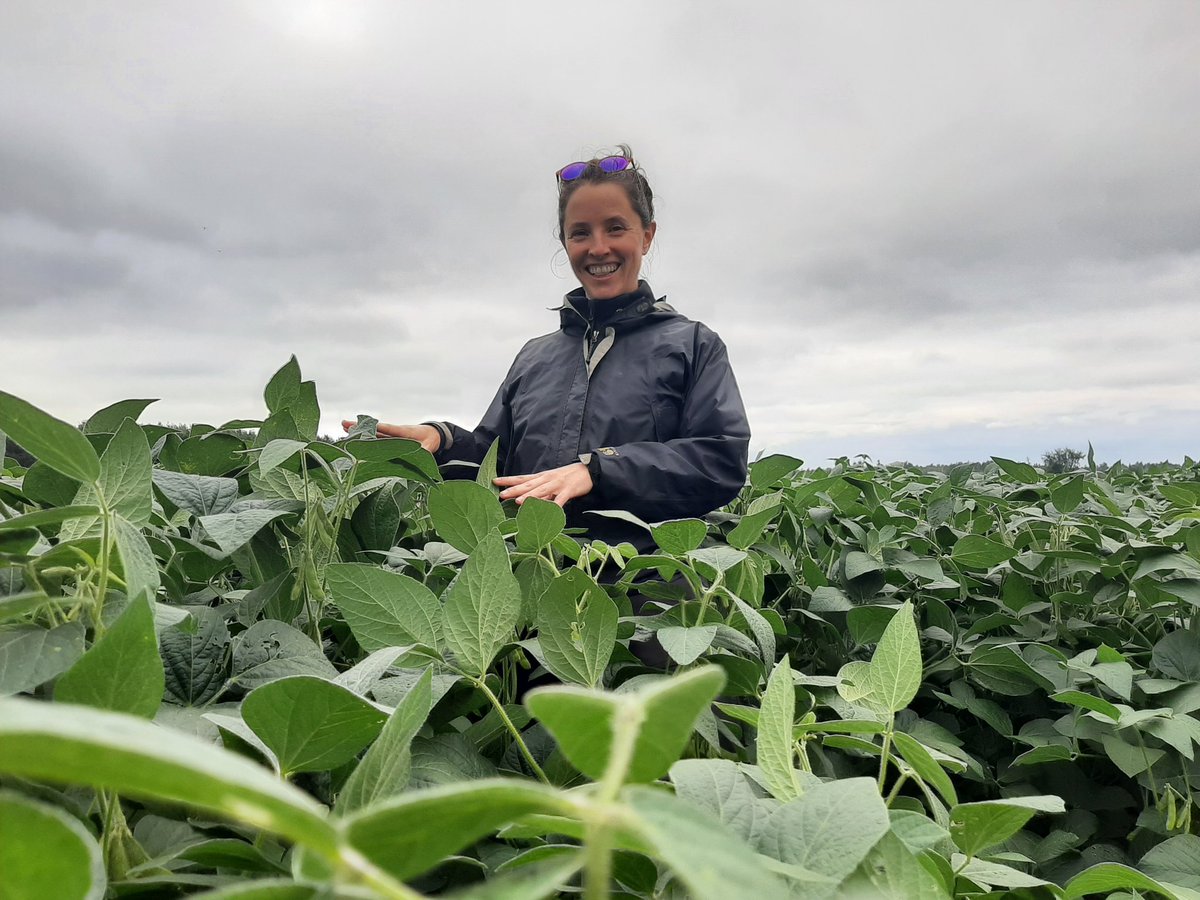 Now I'm a tall person, but would you look at these soys!