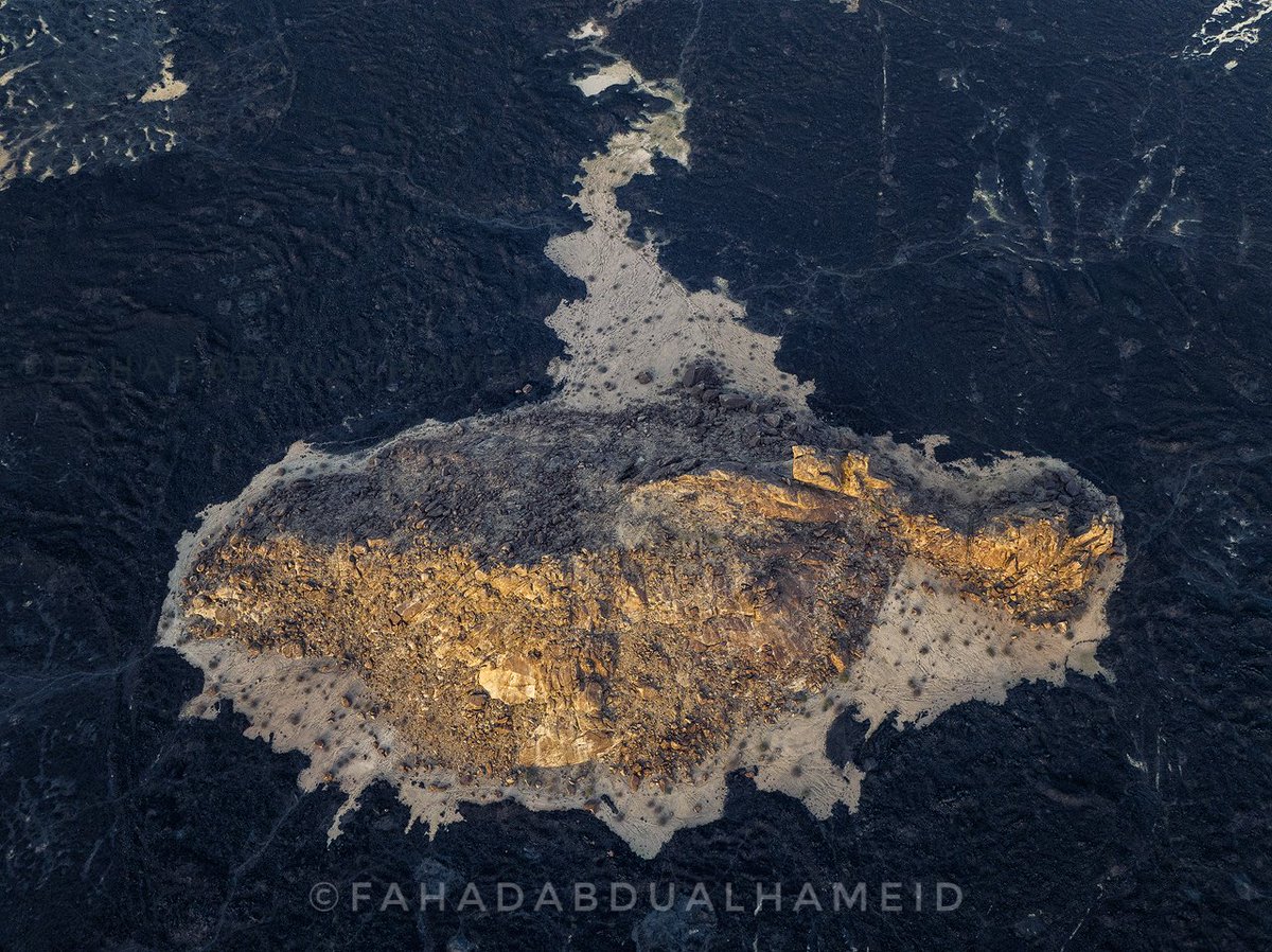fahd_fsa's tweet photo. 📍منتزه غرزة البري، الفرع، #المدينة_المنورة
#اليوم_العالمي_للتصوير https://t.co/AaaXPpAM5e