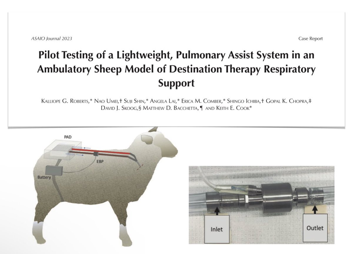 Pulmonary assist systemin in-vivo model of destination therapy respiratory support, pilot testing:
🫁 PAS system using modified VAD, providing enough blood flow (2L/min) for long-term support for chronic lung disease patients
🩸larger-bore cannulae (&gt;26 Fr) or vascular graft
