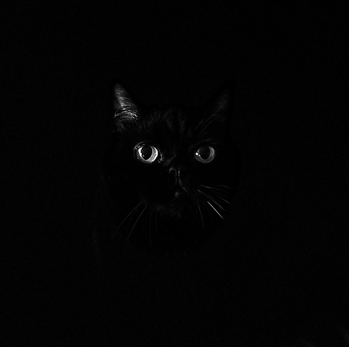 🖤