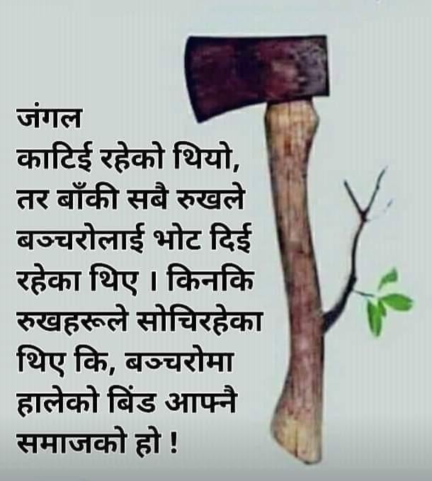 mission2084's tweet photo. माओवादी, काँग्रेस, एमाले, जसपा, जनमत, नेपाल समाजवादी, राष्ट्रिय स्वतन्त्रपार्टीले हिन्दुहरुकै भोटबाट हिन्दुहरुलाई नै काटीरहेका छन्। बेलैमा सचेत बनौँ। 
#Mission2084 
#मिसन२०८४  
#NoVoteToSecular
#HindusVoteForHindu
@NepHindu @sanatanchautari @hinduretweet https://t.co/SKNfNrTL2b