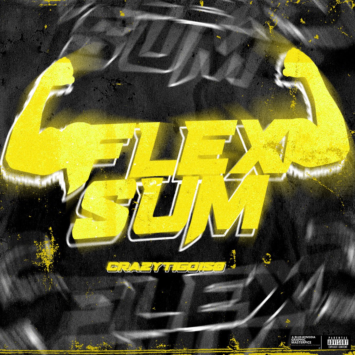 CrazyTigo150 - Flex Sum
Artwork by me